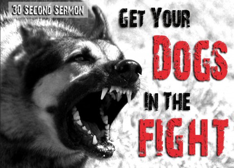 30 Second Sermon: Get Your Dogs In The Fight