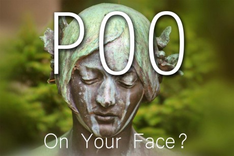 Poo On Your Face?